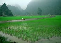 TOURISTS IN Hoa Lu - Tam Coc Tour